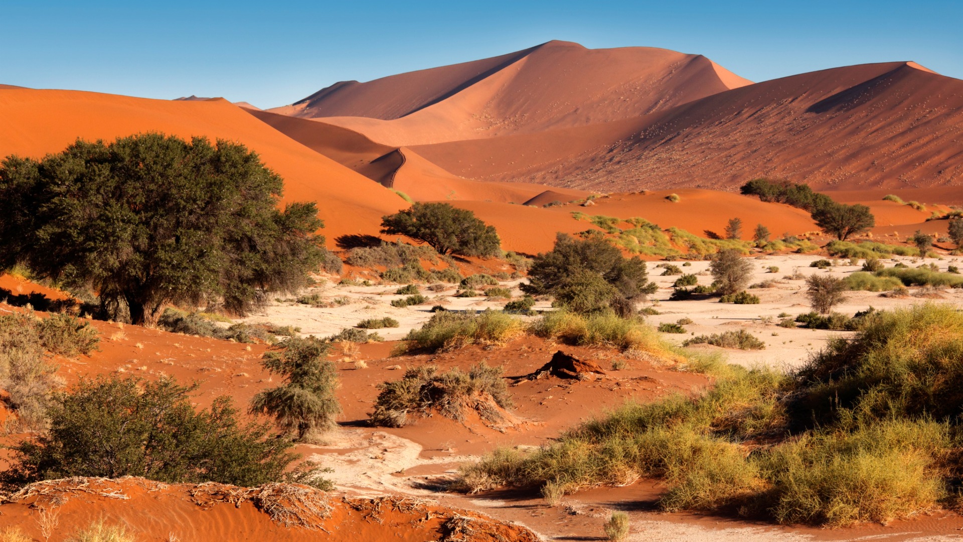 sossusvlei