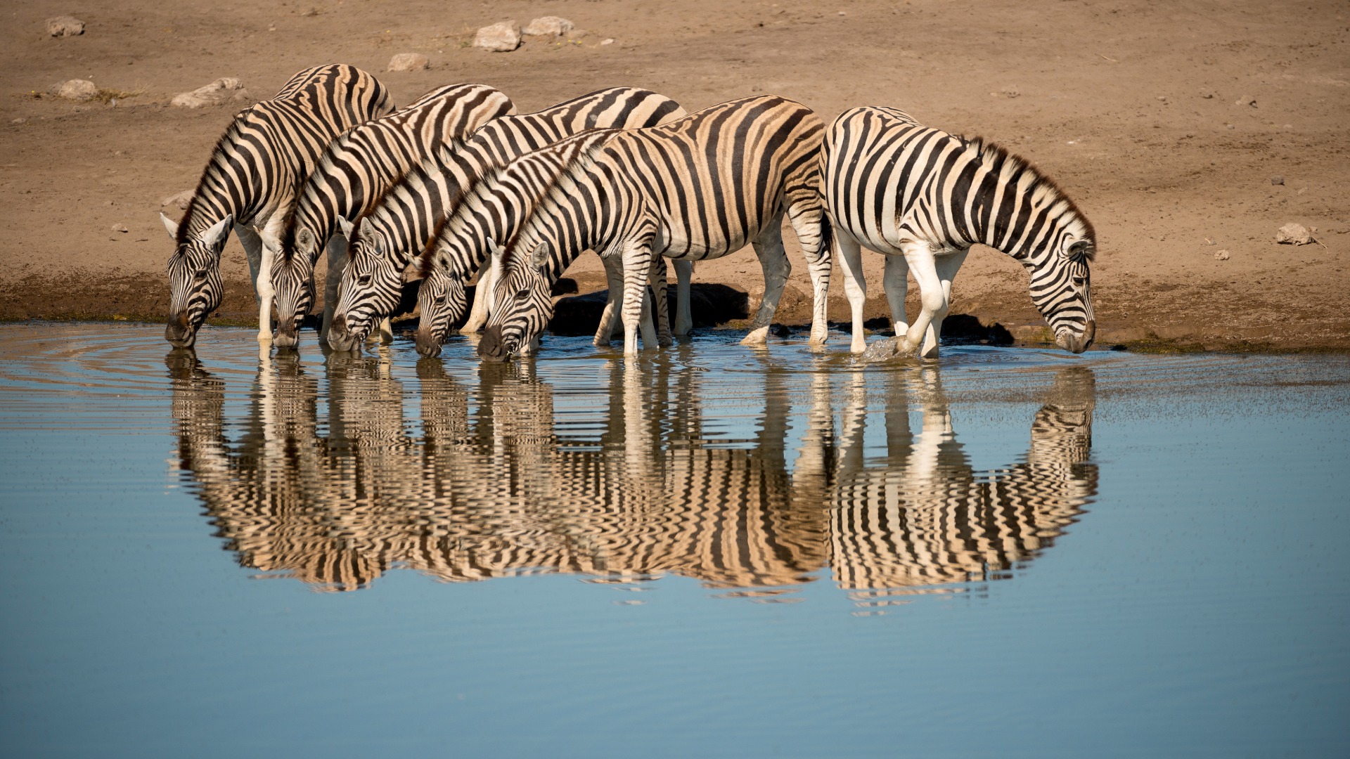 etosha