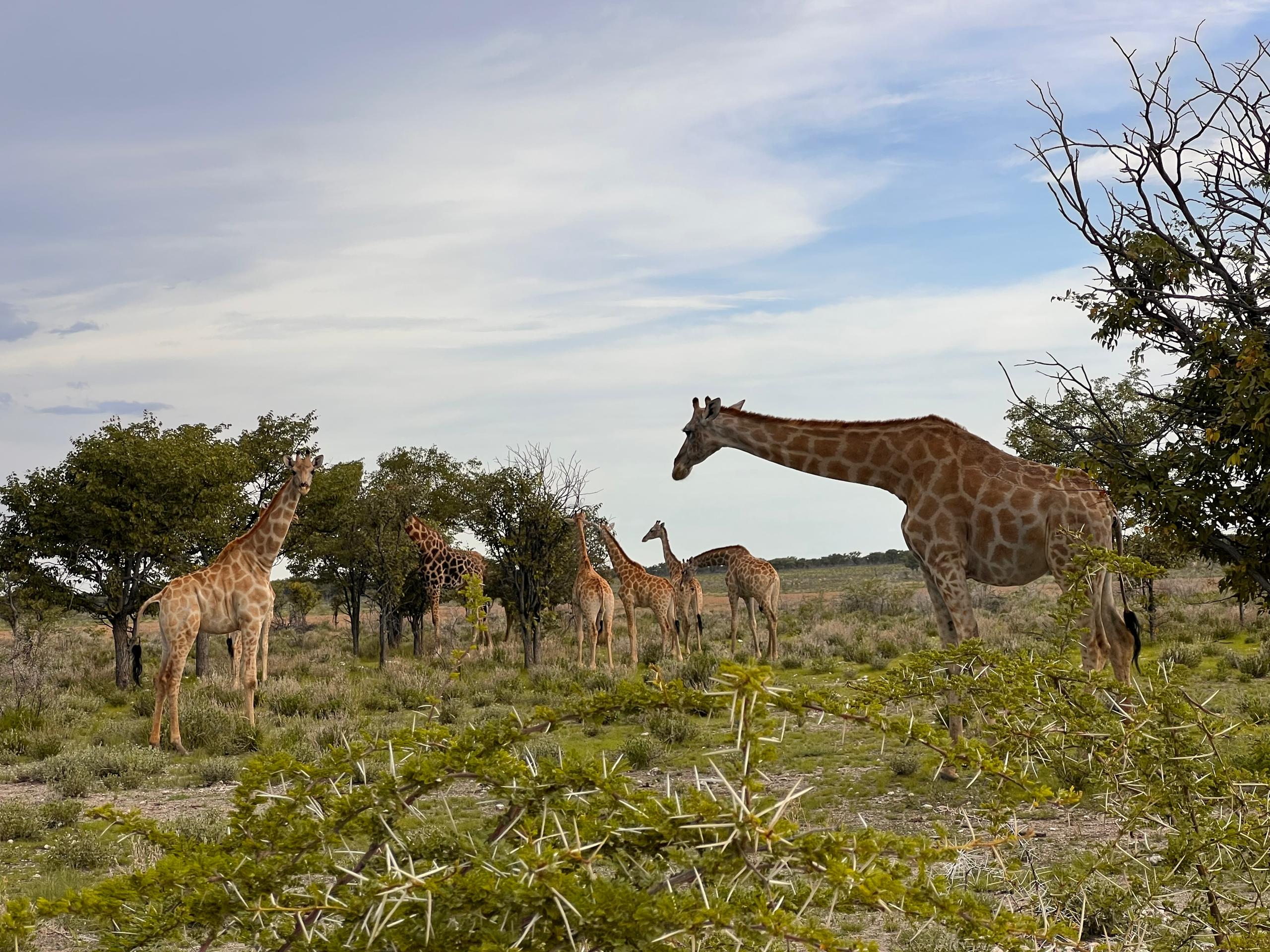 whatsapp image 2026 02 15 at 11.10.34